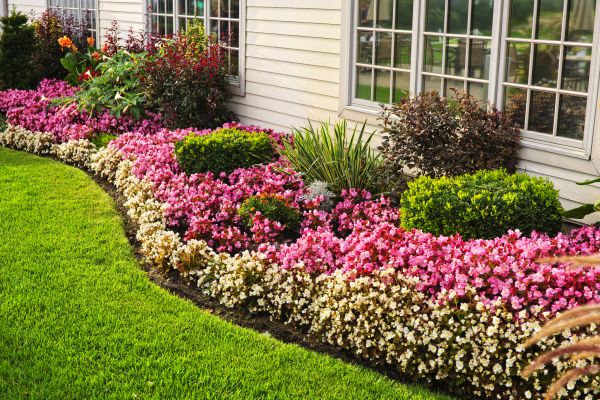 Garden Landscape Design in Pueblo