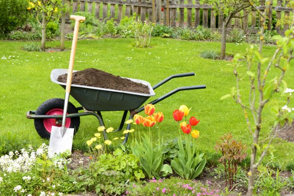 Spring Yard Renovation in Pueblo