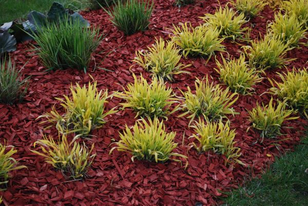 Red Mulch Installation in Pueblo