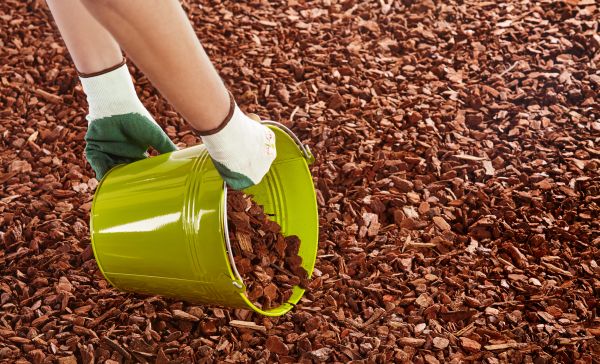 Wood Chip Landscaping in Pueblo