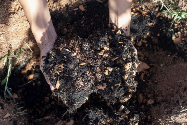 Organic Mulch Installation in Pueblo