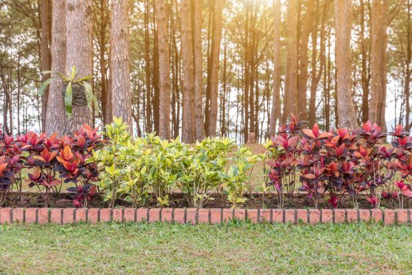 Small Garden Landscaping in Pueblo