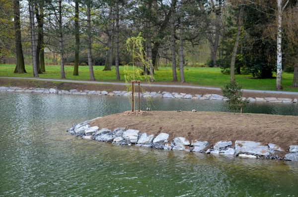 Pond Landscaping Service in Pueblo