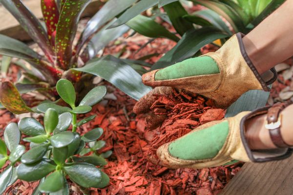 Residential Mulching in Pueblo