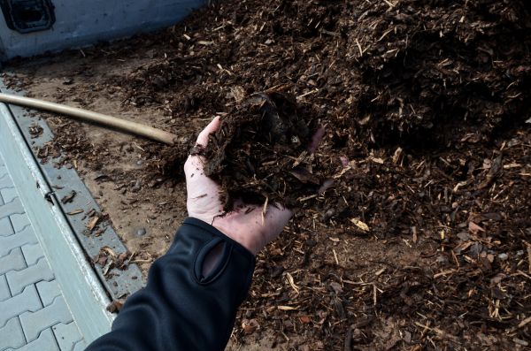 Condo Mulching in Pueblo