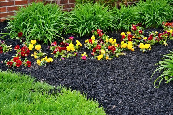Apartment Mulching in Pueblo