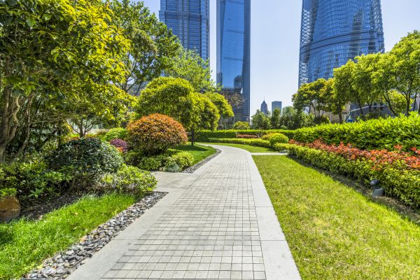 Commercial Landscaping in Pueblo