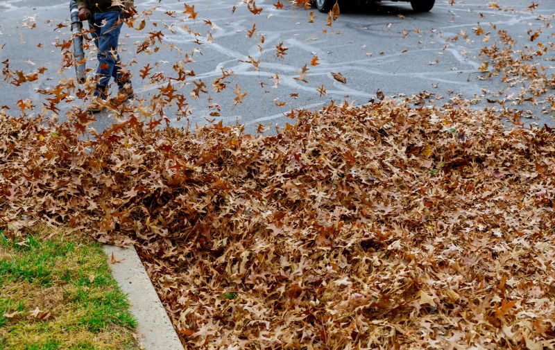 Efficient Leaf Collection