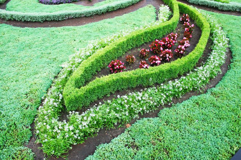 Hedge Landscaping