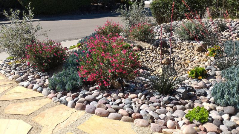 Rock Garden Design